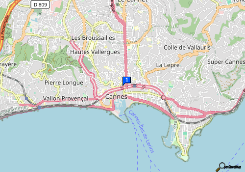 company map