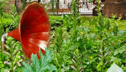 Le jardin de l’ouïe, au plus près de la nature