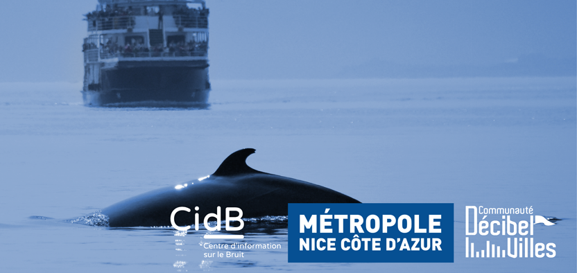 Webinaire dans le cadre de la troisième Conférence des Nations Unies sur l’Océan UNOC 2025 