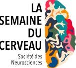 la-semaine-du-cerveau