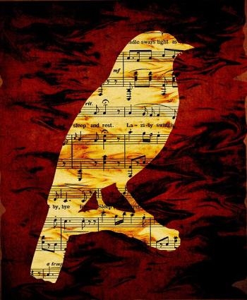partition_de_musique_en_forme_de_silhouette_d_oiseau