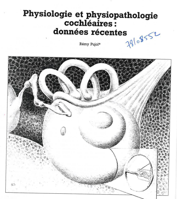 Physiologie et physiopathologie cochléaires : données récentes.