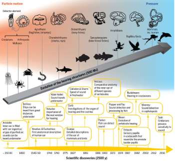 The soundscape of the Anthropocene ocean