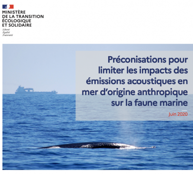 Préconisations pour limiter les impacts des émissions acoustiques en mer d’origine anthropique sur la faune marine
