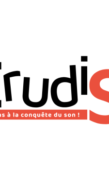 logo erudison 