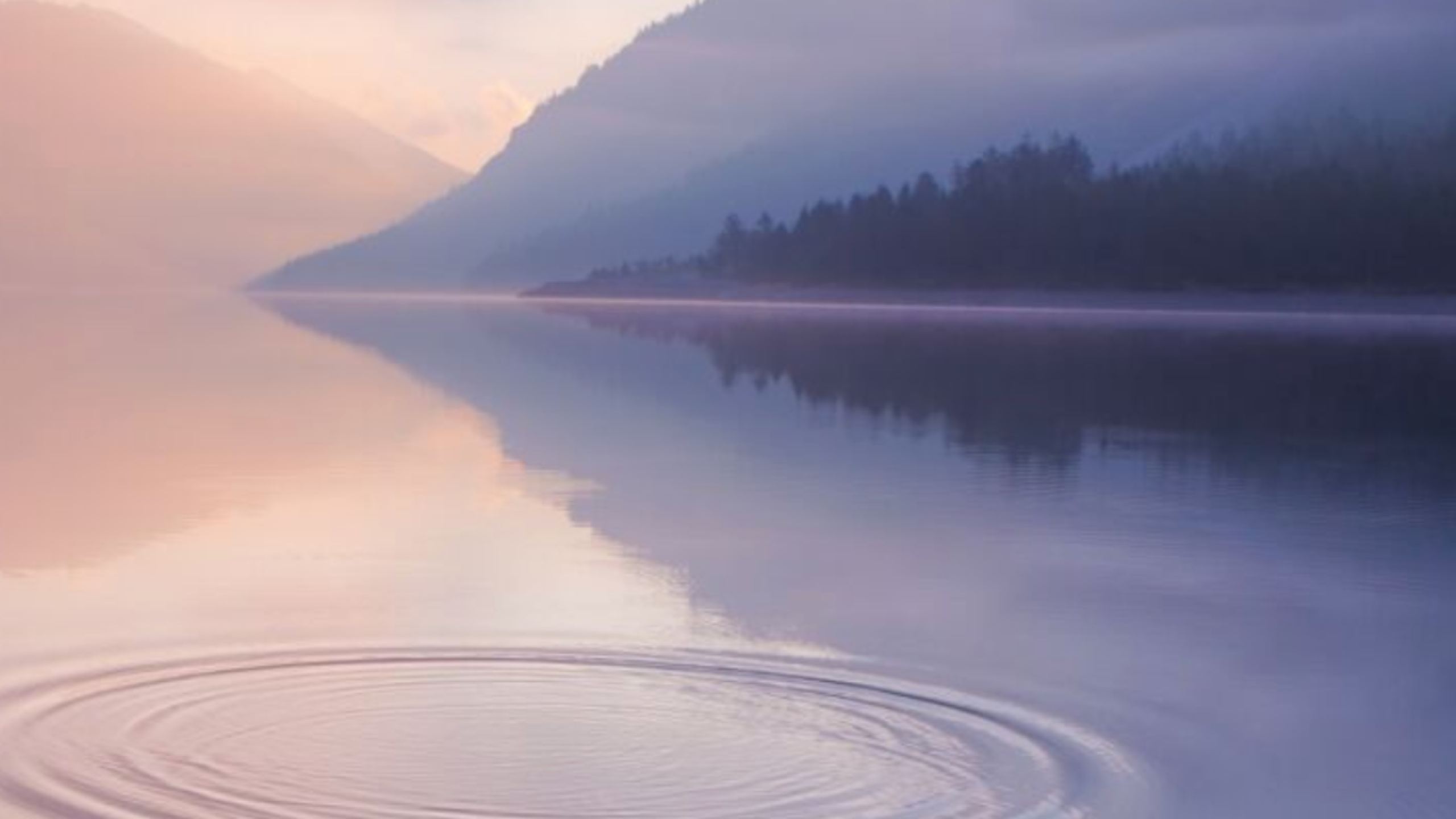 paysage paisible au bord de l'eau avec ondes dans l'eau